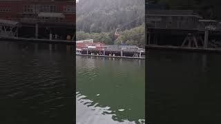 On arrival in port of Juneau Alaska securityonboardDship [upl. by Luz857]