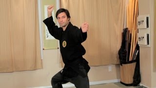 How to Do Basic Budo Taijutsu Postures  Ninjutsu Lessons [upl. by Haidabej]