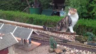 Cats and Trains mal anders Gartenbahn LGB Jens Handro [upl. by Silverman288]