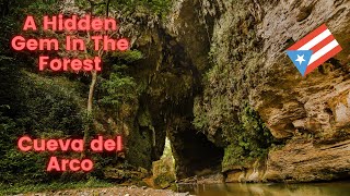 🇵🇷Hiking To A Cave In the Middle of the Forest  Cueva Del Arco in Utuado Puerto Rico🇵🇷 [upl. by Htebilil460]