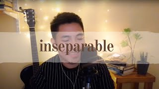 Inseparable  Natalie Cole Cover [upl. by Doralin]