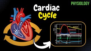 Cardiac Cycle PressureGraph Visually Explained  Heart Physiology [upl. by Eniledam]