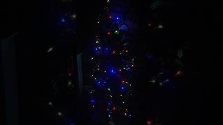 My house Christmas Tree 🎄 christmas shorts automobile [upl. by Leinod]