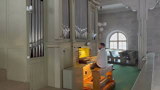 J S Bach Wachet auf ruft uns die Stimme BWV 645 Henrik Berg organ [upl. by Orion588]