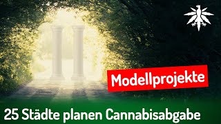 25 Städte planen Cannabisabgabe  DHVNews  432 [upl. by Soisatsana]