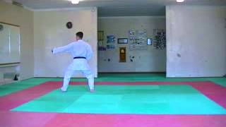 Demonstration KATA pinan sandan WADO KAI [upl. by Mihalco544]