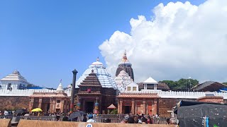 Shri Jagannath Puri mandir Bhubaneswar Lingaraj Mandir Darshan  Bhubaneswar to Delhi [upl. by Munmro537]