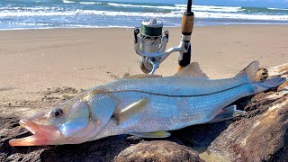 COMO pescar RÓBALOS de PLAYA  TIPS DE PESCA  pesca de ORILLA [upl. by Anaeda]