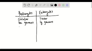 Compare and contrast prokaryotic and eukaryotic chromosomes How are they alike and how do they dif… [upl. by Ecal46]