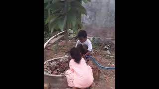 watering the mamey sapote tree mameysapote [upl. by Einnaffit539]