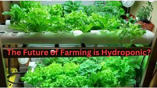 Hydroponic Farming EXPOSED Is This the Future of Agriculture [upl. by Booth478]