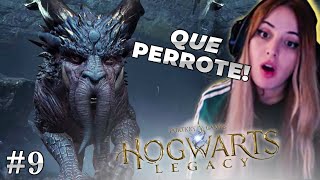 CRIATURAS INCREÍBLES🦁 Hogwarts Legacy 9 [upl. by Ira]