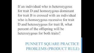 Punnett square practice problems product rule [upl. by Stanwood]