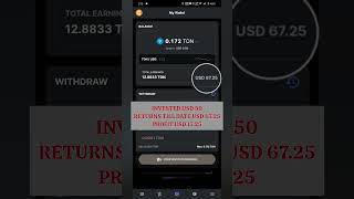 CT POOL MINING  DAY 136  TON COIN crypto miningpool cryptomining cryptocurrency money ton [upl. by Noreen868]