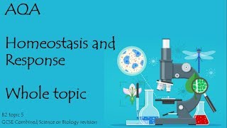 The whole of AQA HOMEOSTASIS and RESPONSE 91 GCSE biology or combined science revision for paper 2 [upl. by Jarret303]