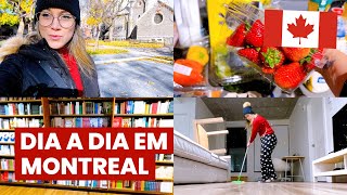 Tô sozinha em MONTREAL Mercado FAXINA no apê compras conhecendo o BAIRRO NOVO e muito mais 🇨🇦 [upl. by Enidualc]