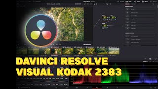 Visual Kodak 2383  Color Grading Tutorial  DAVINCI RESOLVE BÁSICO [upl. by Ainsworth684]