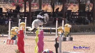 055S Camille Batoy on Femme Fatale WE CCI1 Long Show Jumping Galway Downs Nov 2024 [upl. by Rees]