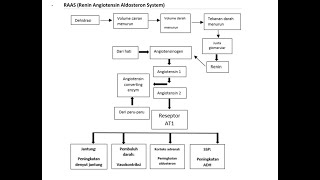 BELAJAR MUDAH MEMAHAMI PATOFISOLOGI HIPERTENSI RAAS RENIN ANGIOTENSIN ALDOSTERON SYSTEM farmasi [upl. by Aicekat]