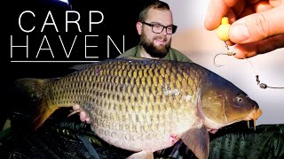 Carp Fishing for BIG CARP in South Africa at Carp HAven New Personal Best Rig Explained [upl. by Arem673]