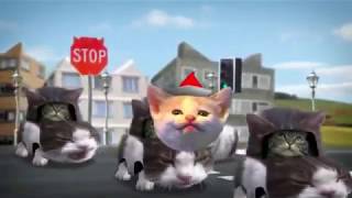 Jingle Cats vs Welcome To Kitty City  JingleCats2019 [upl. by Legge69]