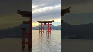 📍Itsukushima Jinja MIYAJIMA ISLAND ⛩️🌊 [upl. by Helgeson]