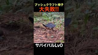 【AliAかくれんぼ】1秒で崩壊！ブッシュクラフト椅子で大怪我！ shorts shortsvideo shortsfeed survival [upl. by Burnie]