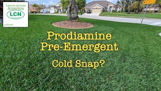 Will Cold Weather Hurt Prodiamine Effectiveness [upl. by Enyrehtac]