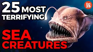 25 Most TERRIFYING Sea Creatures [upl. by Ennairb106]