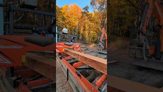 Woodmizer LX50 Super Sawing Larch Log woodmizersawmill sawmill sawinglogs shorts [upl. by Arvo]