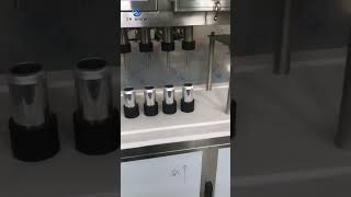 Beer Cans Filling And Capping Machine [upl. by Gilli3]