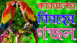 কারবালার খুবই কষ্টের গজল Karbala koster gojol 2024 ও গুনের ভাই ভাই রে O Ghuner Bhai কন্ঠ সবুজ মিয়া [upl. by Inman613]