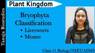 Plant Kingdom  Classification of Bryophyta  Liverworts  Mosses  Class 11 BiologyNEETAIIMS [upl. by Rachel]