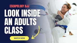 Take Look Inside An Adults BJJ Classes At Escapology BJJ [upl. by Joaquin949]