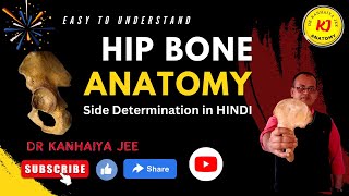 Side determination of hip boneHip bone anatomyBone of lower limbanatomyosteology of hip bone [upl. by Rheinlander396]