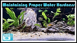 Fish Tank Water Hardness Fully Explained Dont Kill Your Fish [upl. by Thalia]