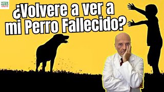 💔 ¿VOLVERE A VER A MI PERRO FALLECIDO 💔 [upl. by Immat]