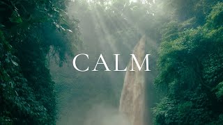 Relaxing Music for Stress Relief Calm Study  Beautiful Nature amp Water Sounds [upl. by Asilanom]