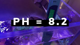 Tricks to keep PH of reef tank at 82 [upl. by Moht]