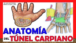 Los mejores ejercicios para el sindrome del tunel carpiano [upl. by Ayhay706]