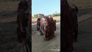 shekhawati jaatni dance and jaatni look🥰🥰💫💫 [upl. by Zillah]