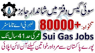 Sui Southern Gas Company Limited Jobs 2024  Latest Sui Southern Gas Company Jobs Vacancy 2024 [upl. by Rosenkrantz602]