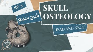 Skull Osteology Inferior View  تشريح عملي [upl. by Duwad]