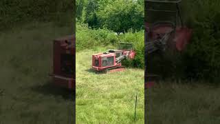 Tree Mulching with FECON FTX150 Forestry Mulcher Efficient Land Clearing [upl. by Inaja236]