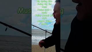 Going Big for a Bass Peeler crab squid pulley pennel youtubeshorts fishing fish nature [upl. by Isherwood]