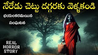 NEREDU CHETTU Real Horror Story in Telugu  Real Ghost Experience  Telugu Horror Stories  Psbadi [upl. by Anaerol565]