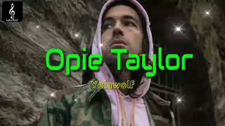 Yelawolf  quotOpie Taylorquot Song yelawolf [upl. by Leahcimal158]