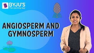 Difference Between Angiosperms And Gymnosperms [upl. by Yremogtnom]