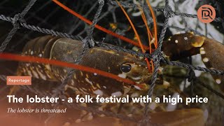 The lobster  a folk festival with a high price [upl. by Giliana]