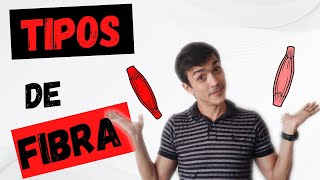 Tipos de Fibra Muscular  ENTENDA A DIFERENÇA [upl. by Behn]